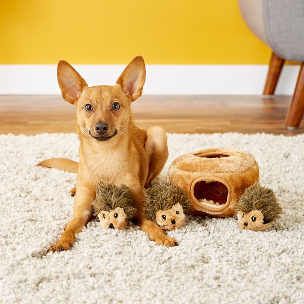 Show full view: ZippyPaws Burrow Squeaky Hide & Seek Plush Dog Toy, Hedgehog Den, Puzzle Set slide 3 of 8