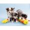 Show in main carousel: ZippyPaws Caterpillar with Squeakers Plush Dog Toy, Deluxe slide 3 of 7