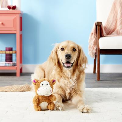 Show full view: ZippyPaws Cheeky Chumz Plush Dog Toy, Monkey slide 2 of 5