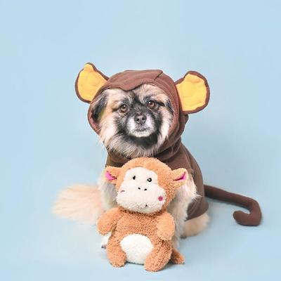Show full view: ZippyPaws Cheeky Chumz Plush Dog Toy, Monkey slide 4 of 5