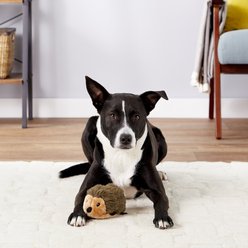 ZippyPaws Hedgehog Plush Dog Toy, Large slide 2 of 4