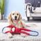 Show in main carousel: ZippyPaws Monkey RopeTugz Plush & Rope Dog Toy, Red slide 3 of 5