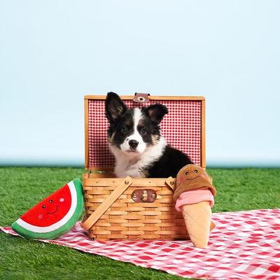 Show full view: ZippyPaws NomNomz Dog Toy, Ice Cream slide 5 of 7