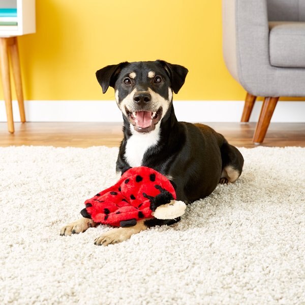 ZippyPaws Rottweiler Squeakie Buns Dog Toy