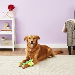 ZippyPaws Squeakie Crawler Slowpoke the Turtle Dog Toy slide 2 of 5