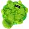 Show in main carousel: ZippyPaws Squeakie Crawler Slowpoke the Turtle Dog Toy slide 3 of 7