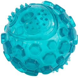 ZippyPaws ZippyTuff Squeaker Ball Dog Toy, Teal, Large