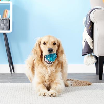 Show full view: ZippyPaws ZippyTuff Squeaker Ball Dog Toy, Teal, Large slide 3 of 5