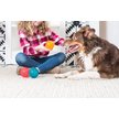 Show in main carousel: ZippyPaws ZippyTuff Squeaker Ball Dog Toy, Teal, Small slide 3 of 5