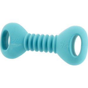 ZIPPYPAWS ZippyTuff Squeakers Dumbbell Dog Toy - Chewy.com