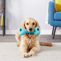 ZippyPaws ZippyTuff Squeakers Dumbbell Dog Toy slide 2 of 8