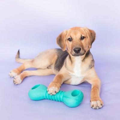 Show full view: ZippyPaws ZippyTuff Squeakers Dumbbell Dog Toy slide 5 of 10