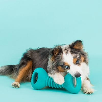 Show full view: ZippyPaws ZippyTuff Squeakers Dumbbell Dog Toy slide 7 of 10