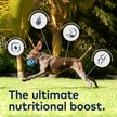 Show in main carousel: ZIWI Peak Beef Recipe Canned Dog Food, 6-oz can, case of 12 slide 5 of 11
