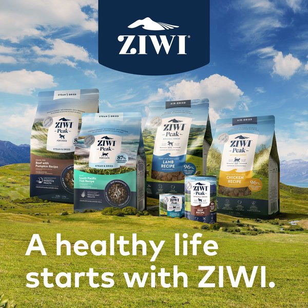 Show full view: ZIWI Peak Beef Recipe Canned Dog Food, 6-oz can, case of 12 slide 10 of 11