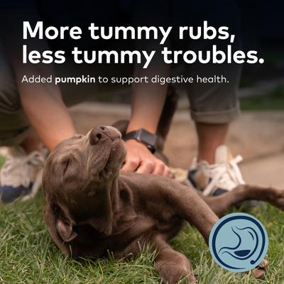 Show full view: ZIWI Peak Beef with Pumpkin Recipe Steam & Dried Dog Food, 28.8-oz bag slide 6 of 13