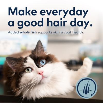 Show full view: ZIWI Peak Beef with Southern Blue Whiting Recipe Steam & Dried Cat Food, 28.8-oz bag slide 7 of 13