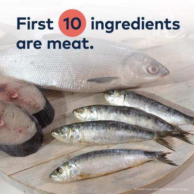 Show full view: ZIWI Peak Beef with Southern Blue Whiting Recipe Steam & Dried Cat Food, 78.4-oz bag slide 4 of 13