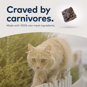 ZIWI Peak Chicken Recipe Air-Dried Cat Food, 35.2-oz bag