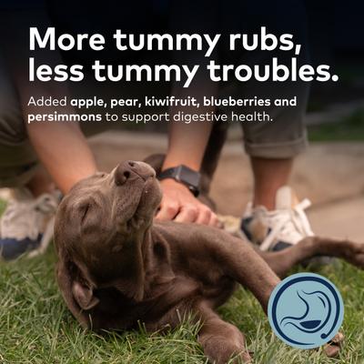 Show full view: ZIWI Peak Chicken with Orchard Fruits Recipe Steam & Dried Dog Food, 113.6-oz bag slide 6 of 13