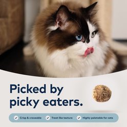 ZIWI Peak Chicken with Whole Mackerel Recipe Steam & Dried Cat Food, 28.8-oz bag slide 2 of 9