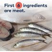 Show in main carousel: ZIWI Peak Chicken with Whole Mackerel Recipe Steam & Dried Cat Food, 28.8-oz bag slide 4 of 13