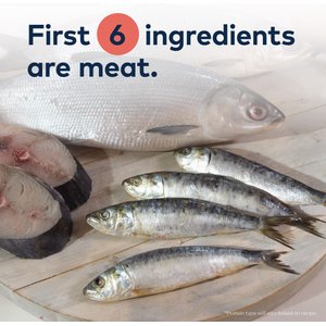 ZIWI Peak Chicken with Whole Mackerel Recipe Steam & Dried Cat Food, 28.8-oz bag