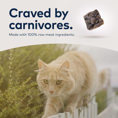 Show full view: ZIWI Peak Lamb Recipe Air-Dried Cat Food, 35.2-oz bag slide 8 of 13