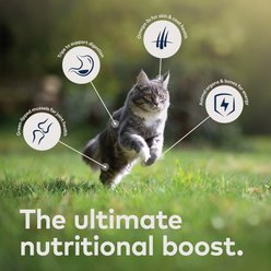 ZIWI Peak Mackerel & Lamb Recipe Air-Dried Cat Food, 35.2-oz bag + Mackerel & Lamb Recipe Canned Cat Food, 6.5-oz, case of 12 slide 2 of 9