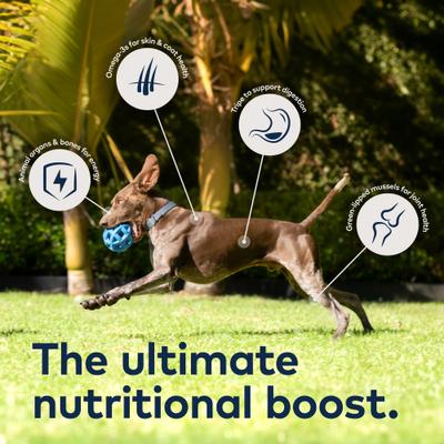 Show full view: ZIWI Peak Variety Pack Adult Grain-Free Beef, Chicken Pate Canned Dog Food, 6-oz can, case of 6 slide 5 of 9