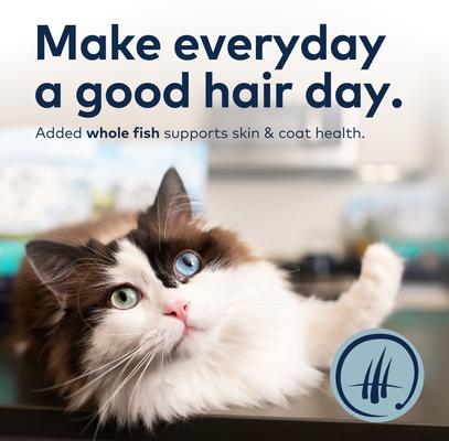 Show full view: ZIWI Peak Wild South Pacific Fish Recipe Steam & Dried Cat Food, 28.8-oz bag slide 6 of 13