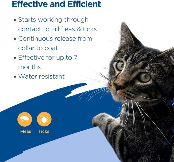 Zodiac Flea & Tick Collar for Cats