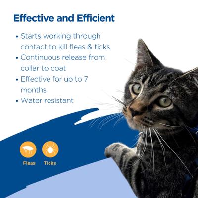 Show full view: Zodiac Flea & Tick Collar for Cats, 1 Collar (7-mos. supply) slide 3 of 6