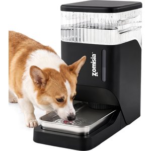 ZOMISIA Automatic Dog & Cat Water Dispenser, Black, 8-l - Chewy.com