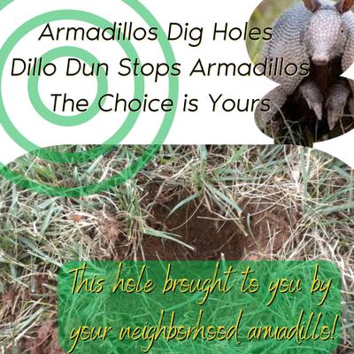 Show full view: Zone Protects Dillo Dun! Armadillo Repellent Gallon Trigger Sprayer slide 5 of 6