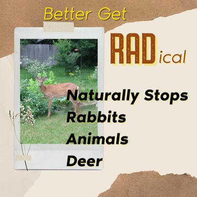 Show full view: Zone Protects R.A.D. Rabbit, Animal, Deer Repellent Spray, 32-fl oz Bottle slide 5 of 5