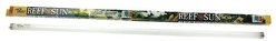Zoo Med 50/50 Reef Sun T8 Fluorescent Aquarium Bulb, 36-in, 25-watt slide 1 of 2