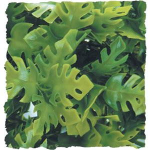 Zoo Med Amazonian Phyllo Bush Plant, Medium