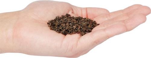 Show full view: Zoo Med Anole Food, 11.3-g bottle slide 4 of 5