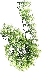 Zoo Med Australian Maple Bush Plant, Medium slide 2 of 3