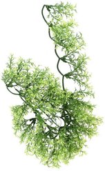 Zoo Med Australian Maple Bush Plant, Small slide 2 of 2