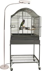 Zoo Med Avian Sun Deluxe Floor UVB Lamp slide 2 of 2