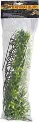 Zoo Med Bolivian Croton Reptile Plant, Large