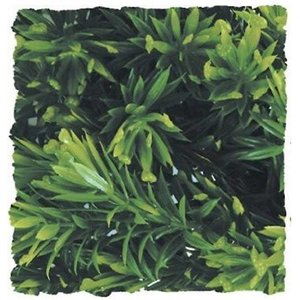 Zoo Med Borneo Star Artificial Plant