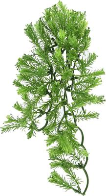 Show full view: Zoo Med Borneo Star Reptile Plant, Medium slide 2 of 3