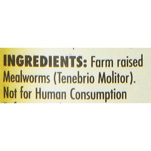 Zoo Med Can O' Worms Mealworms, 1.2-oz can
