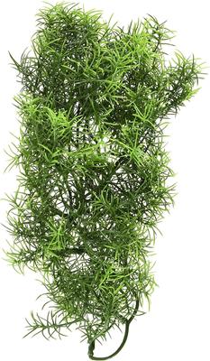 Show full view: Zoo Med Cashuarina Artificial Plant slide 2 of 2