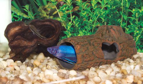 Show full view: Zoo Med Ceramic Betta Log slide 2 of 9