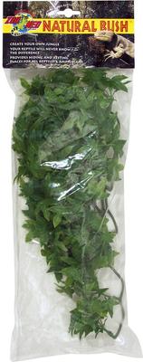 Show full view: Zoo Med Congo Ivy Reptile Plant, Medium slide 2 of 3