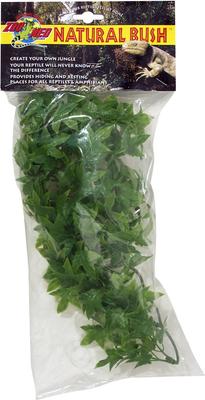 Show full view: Zoo Med Congo Ivy Reptile Plant, Small slide 2 of 2